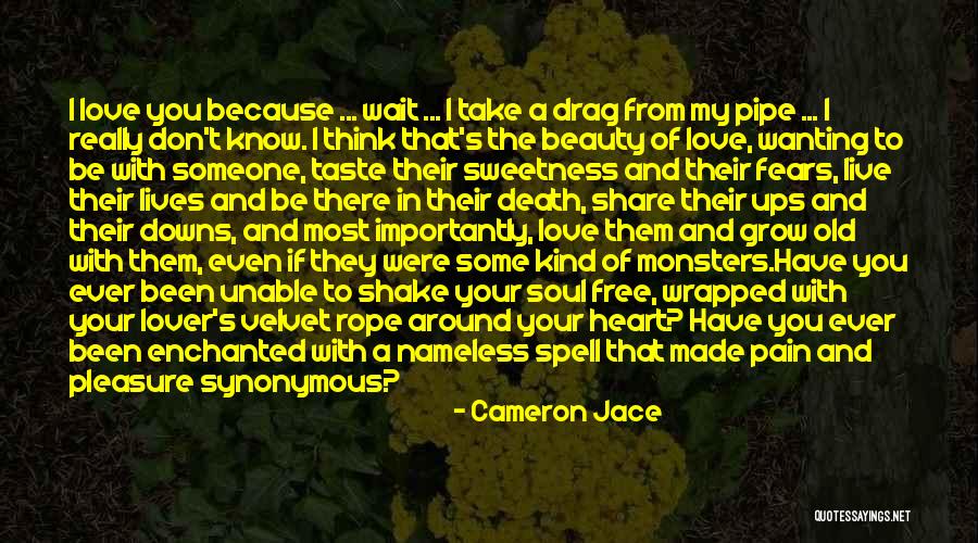 Fears Of Love Quotes By Cameron Jace