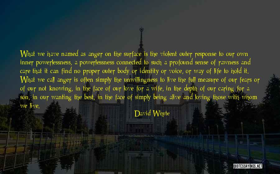 Fears Of Love Quotes By David Whyte Fears Of Love Quotes By David Whyte