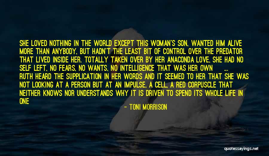 Fears Of Love Quotes By Toni Morrison Fears Of Love Quotes By Toni Morrison