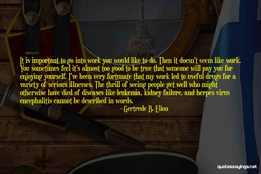 Feast Of The Purification Quotes By Gertrude B. Elion Feast Of The Purification Quotes By Gertrude B. Elion