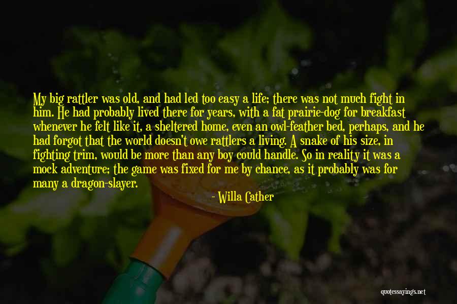 Feather Boy Quotes By Willa Cather