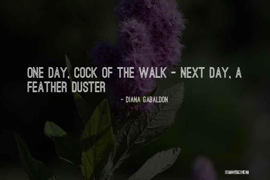 Feather Duster Quotes By Diana Gabaldon