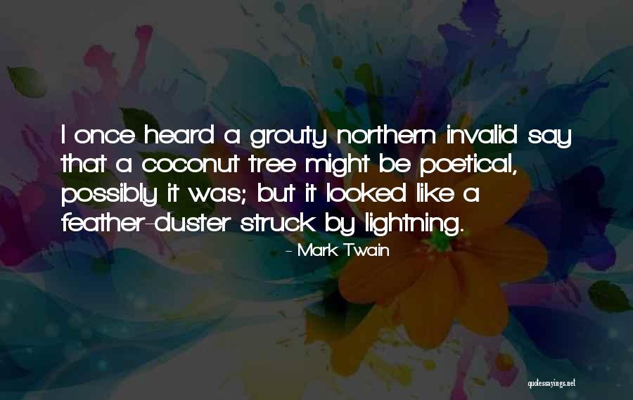 Feather Duster Quotes By Mark Twain