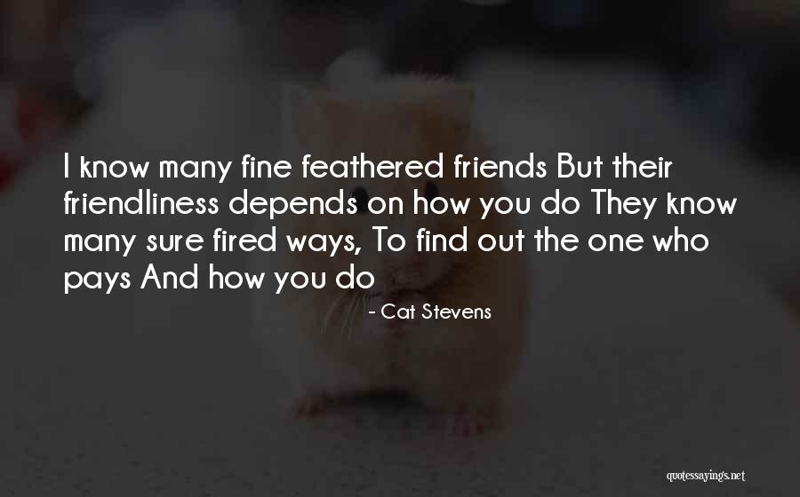 Feathered Friends Quotes By Cat Stevens Feathered Friends Quotes By Cat Stevens