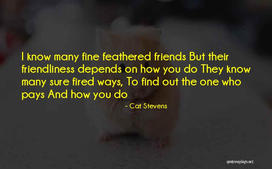 Feathered Quotes By Cat Stevens Feathered Quotes By Cat Stevens