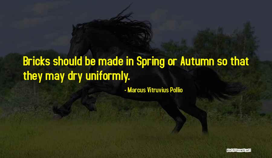 Feathering Eyebrows Quotes By Marcus Vitruvius Pollio Feathering Eyebrows Quotes By Marcus Vitruvius Pollio