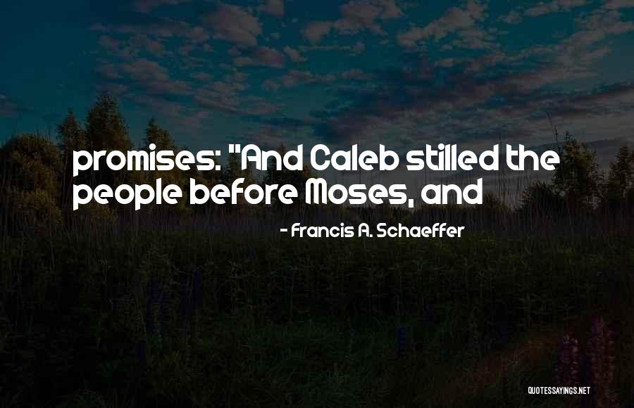 Feathers That Are Drawn Quotes By Francis A. Schaeffer