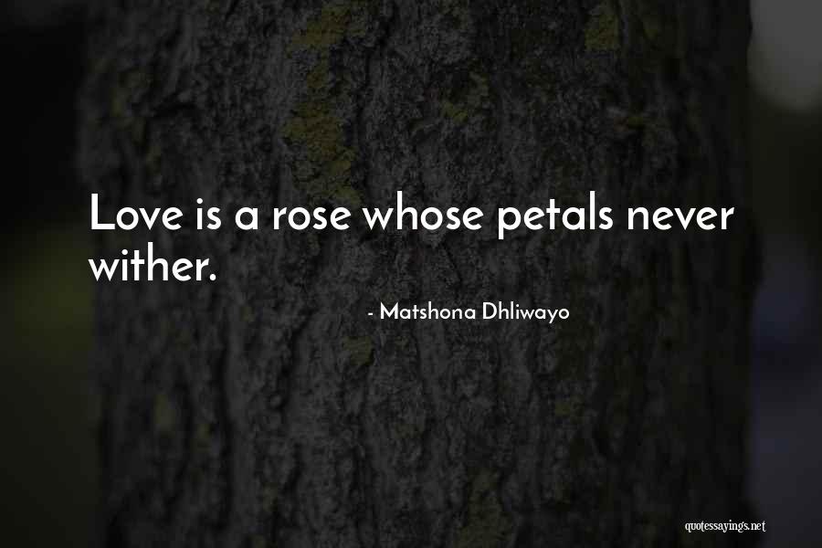 Feathertail Betta Quotes By Matshona Dhliwayo Feathertail Betta Quotes By Matshona Dhliwayo