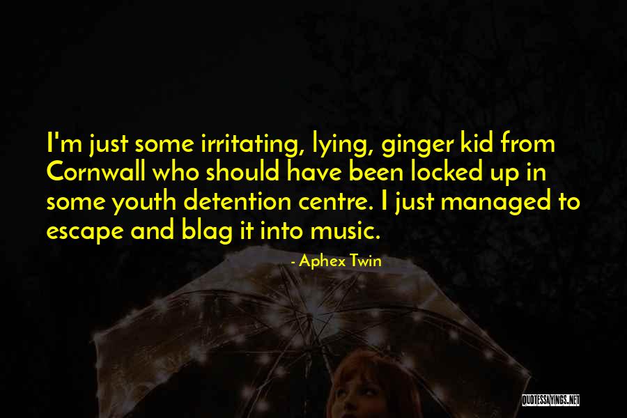Febrian Nindyo Quotes By Aphex Twin Febrian Nindyo Quotes By Aphex Twin