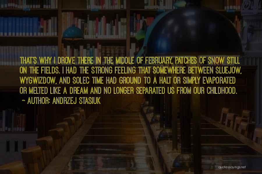 February Snow Quotes By Andrzej Stasiuk