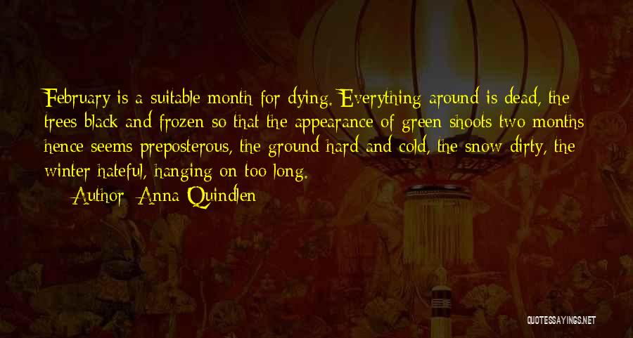 February Snow Quotes By Anna Quindlen