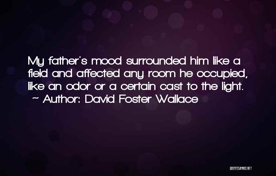 Fecit Romanesque Quotes By David Foster Wallace