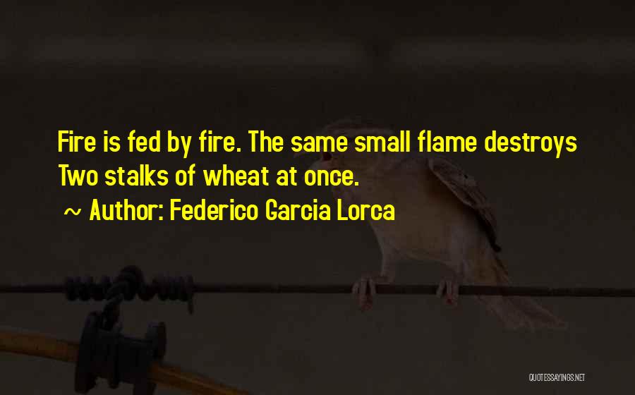 Federico Garcia Lorca Quotes 1079960