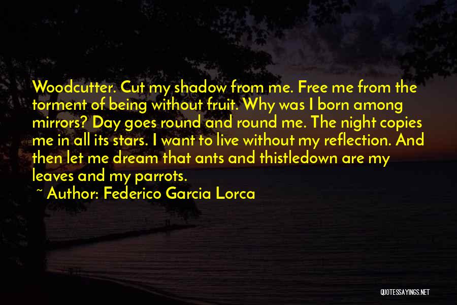 Federico Garcia Lorca Quotes 1530906