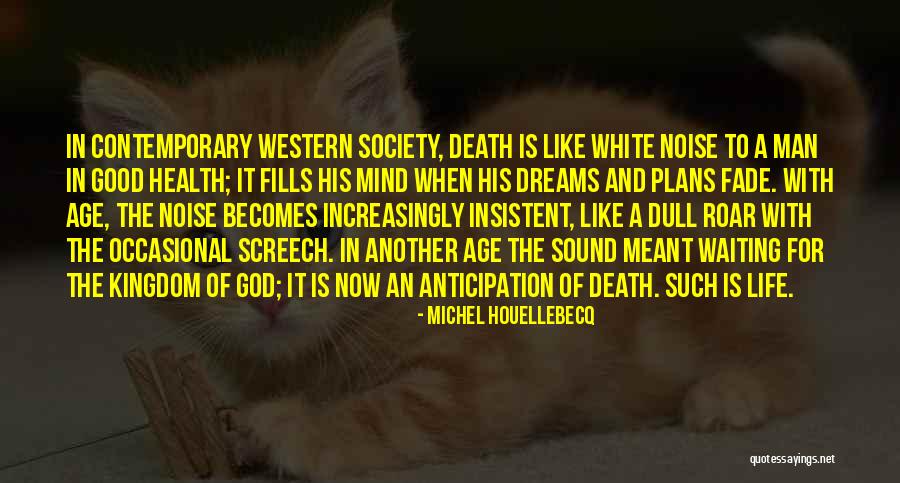 Fedyaeva Quotes By Michel Houellebecq Fedyaeva Quotes By Michel Houellebecq