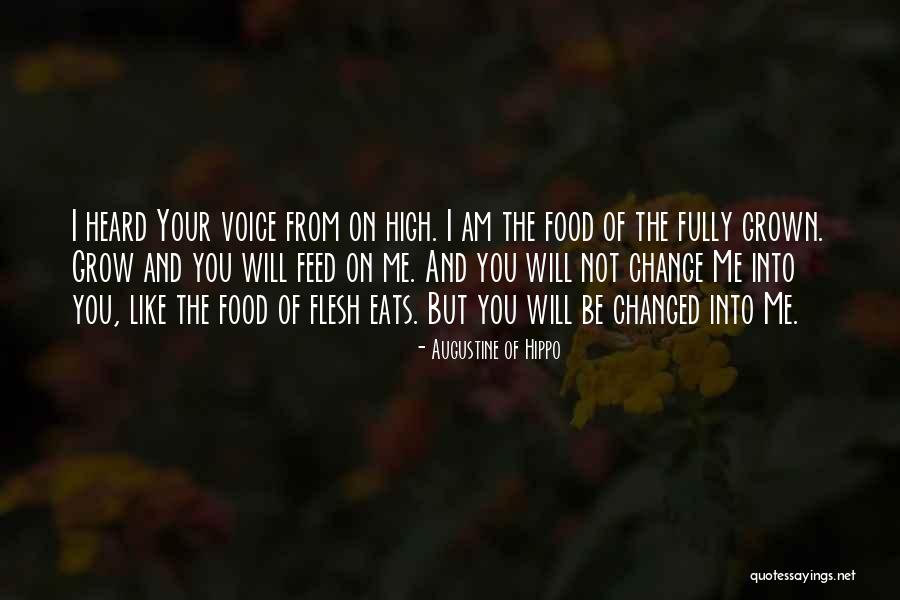 Feed Food Quotes By Augustine Of Hippo Feed Food Quotes By Augustine Of Hippo