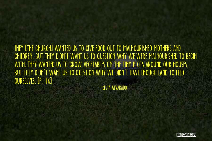 Feed Food Quotes By Elvia Alvarado Feed Food Quotes By Elvia Alvarado