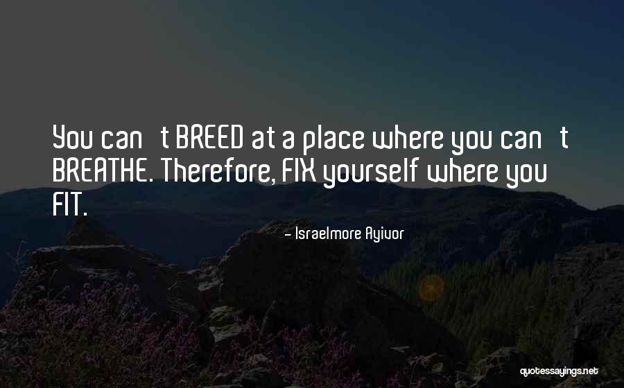Feed Food Quotes By Israelmore Ayivor Feed Food Quotes By Israelmore Ayivor