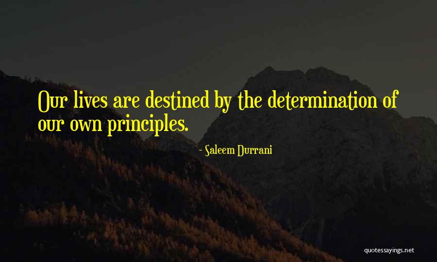 Feed Me Seymour Quotes By Saleem Durrani