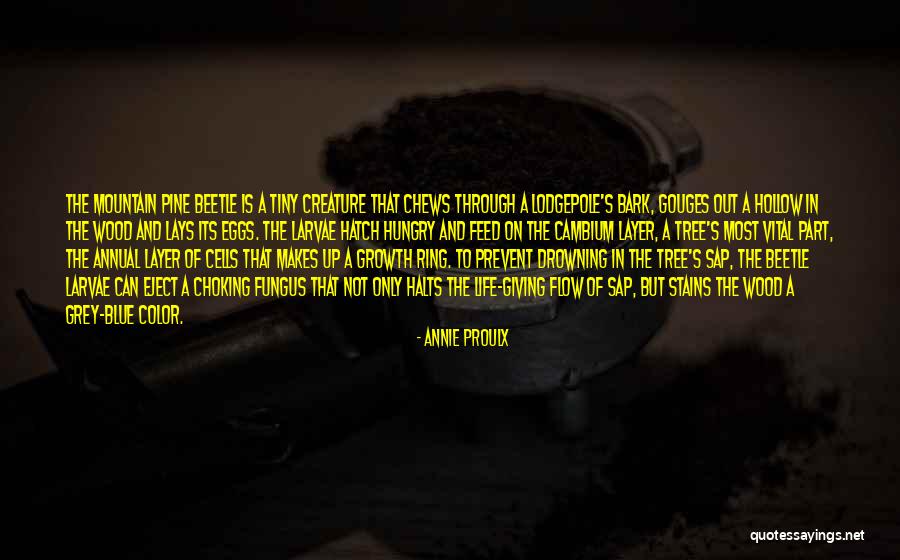 Feed The Hungry Quotes By Annie Proulx Feed The Hungry Quotes By Annie Proulx
