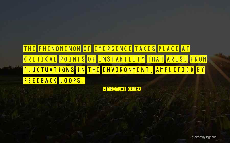 Feedback Loops Quotes By Fritjof Capra Feedback Loops Quotes By Fritjof Capra
