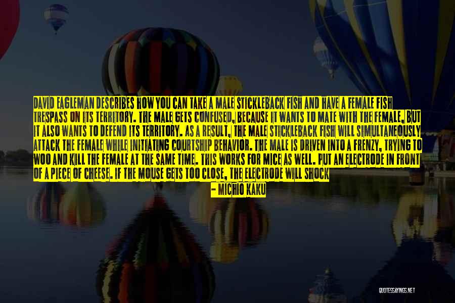Feedback Loops Quotes By Michio Kaku Feedback Loops Quotes By Michio Kaku