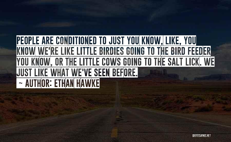 Feeder Quotes By Ethan Hawke