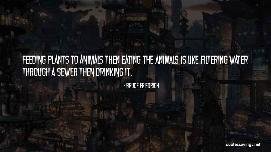 Feeding Animals Quotes By Bruce Friedrich Feeding Animals Quotes By Bruce Friedrich