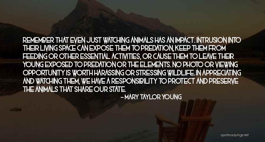 Feeding Animals Quotes By Mary Taylor Young Feeding Animals Quotes By Mary Taylor Young