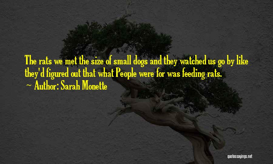 Feeding Dogs Quotes By Sarah Monette