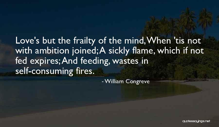 Feeding Others Quotes By William Congreve