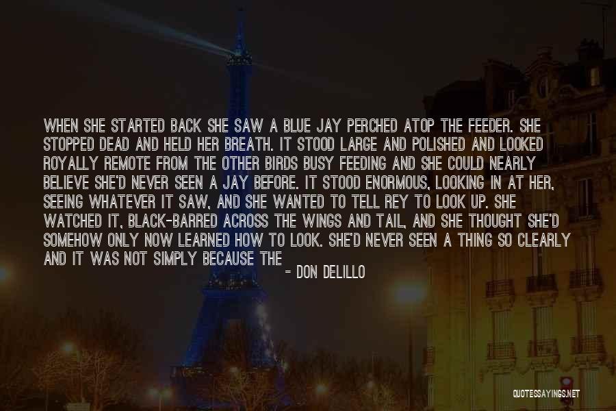 Feeding The Birds Quotes By Don DeLillo Feeding The Birds Quotes By Don DeLillo
