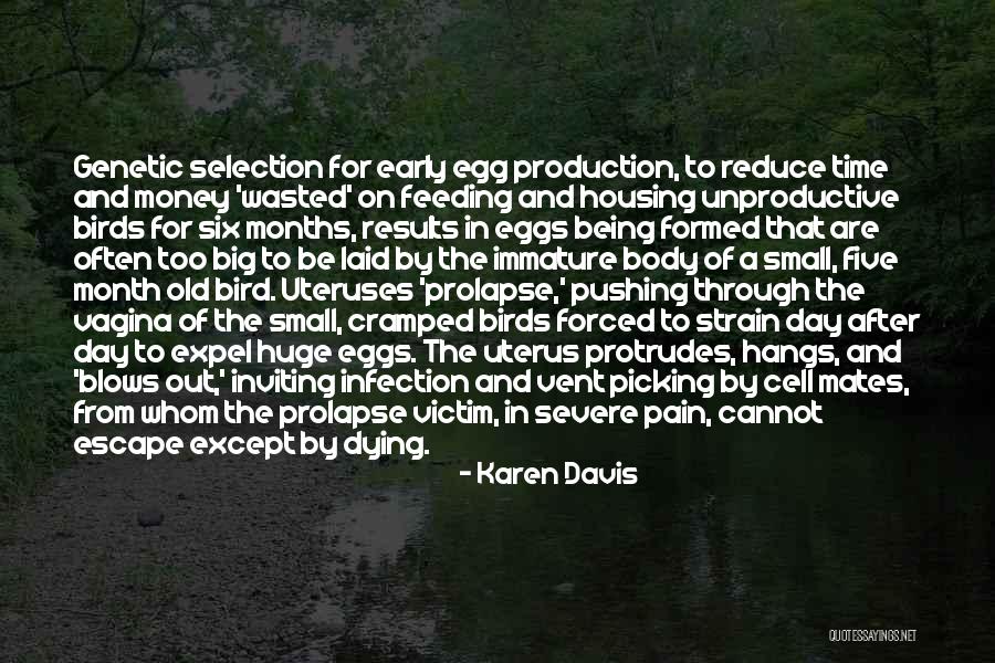 Feeding The Birds Quotes By Karen Davis Feeding The Birds Quotes By Karen Davis