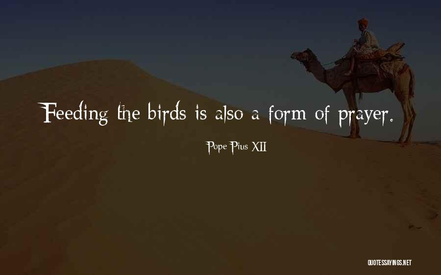 Feeding The Birds Quotes By Pope Pius XII