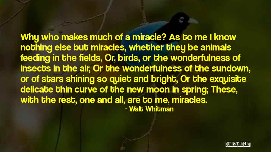 Feeding The Birds Quotes By Walt Whitman Feeding The Birds Quotes By Walt Whitman