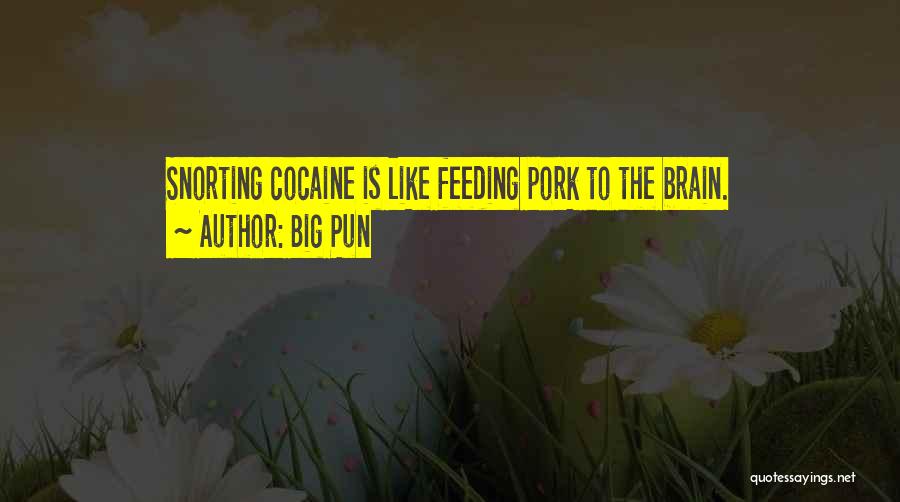 Feeding The Brain Quotes By Big Pun