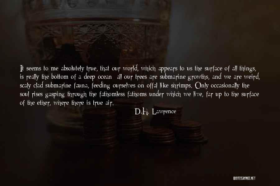 Feeding The Soul Quotes By D.H. Lawrence Feeding The Soul Quotes By D.H. Lawrence