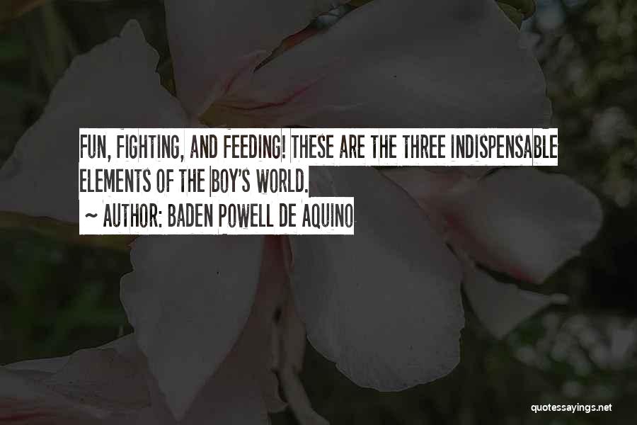 Feeding The World Quotes By Baden Powell De Aquino