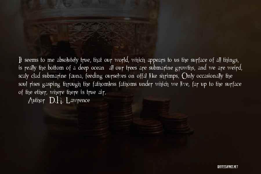 Feeding The World Quotes By D.H. Lawrence