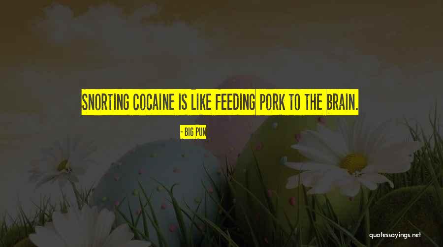 Feeding Your Brain Quotes By Big Pun Feeding Your Brain Quotes By Big Pun