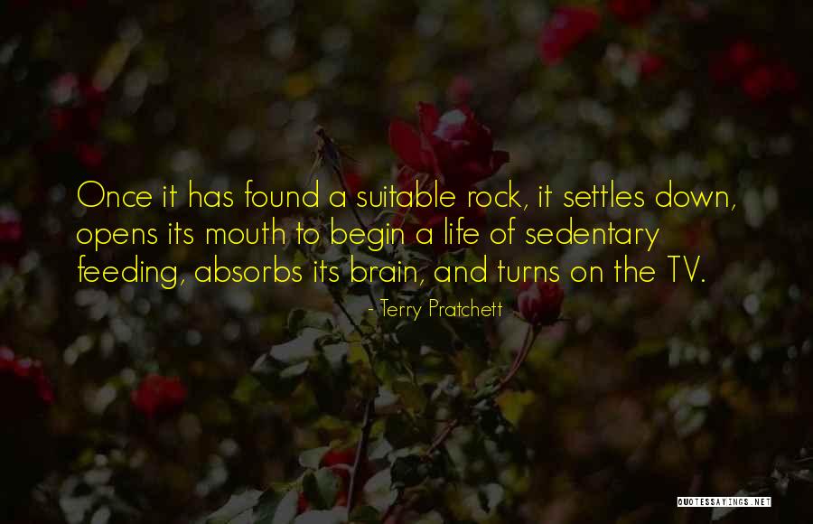 Feeding Your Brain Quotes By Terry Pratchett Feeding Your Brain Quotes By Terry Pratchett