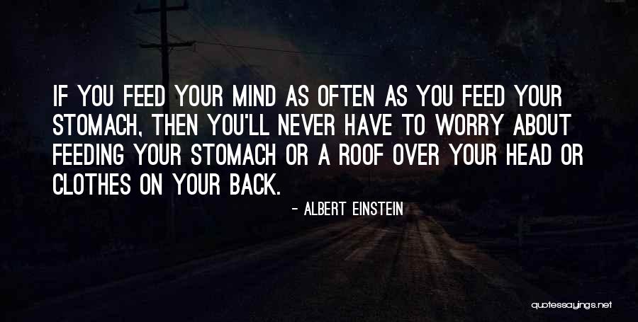 Feeding Your Mind Quotes By Albert Einstein