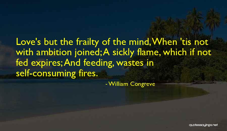 Feeding Your Mind Quotes By William Congreve