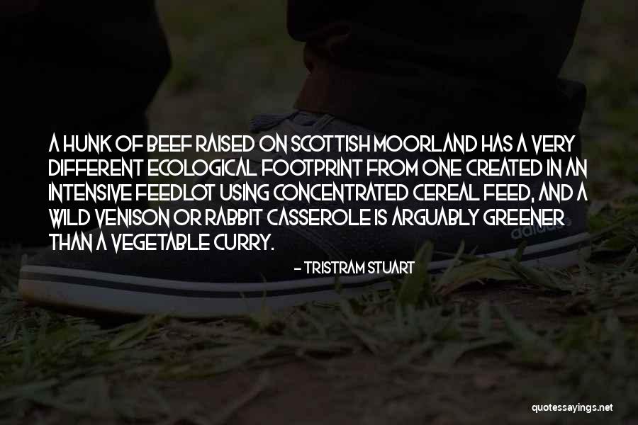 Feedlot Quotes By Tristram Stuart