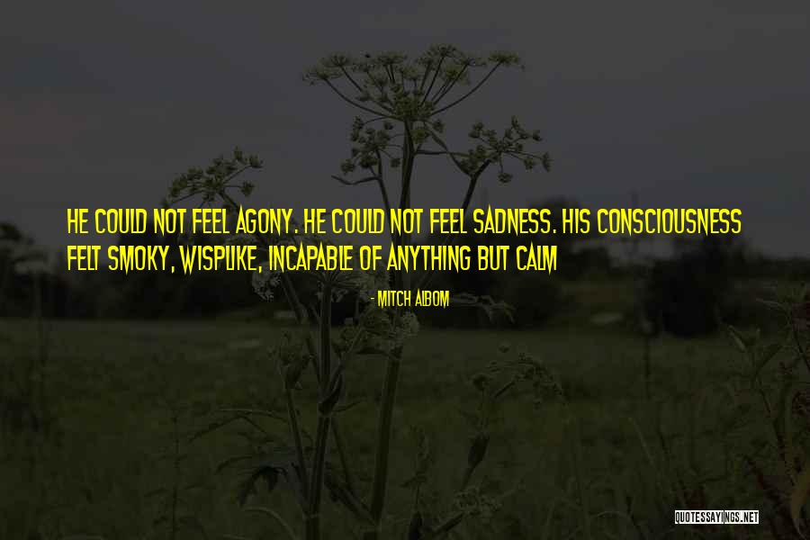 Feel But Quotes By Mitch Albom Feel But Quotes By Mitch Albom