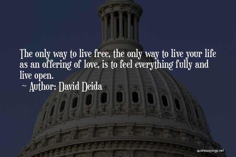 Feel Everything Quotes By David Deida