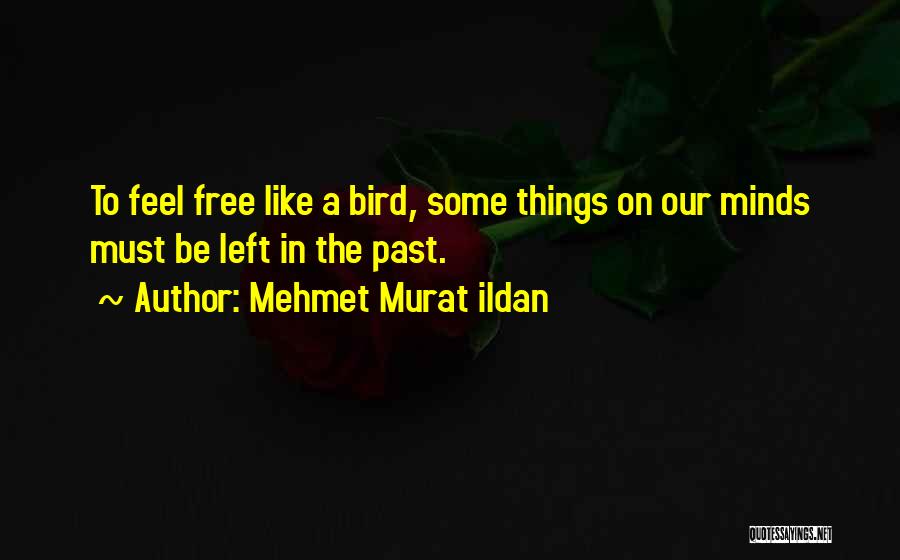 Feel Free Like A Bird Quotes By Mehmet Murat Ildan
