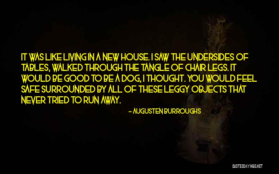Feel Good Dog Quotes By Augusten Burroughs Feel Good Dog Quotes By Augusten Burroughs