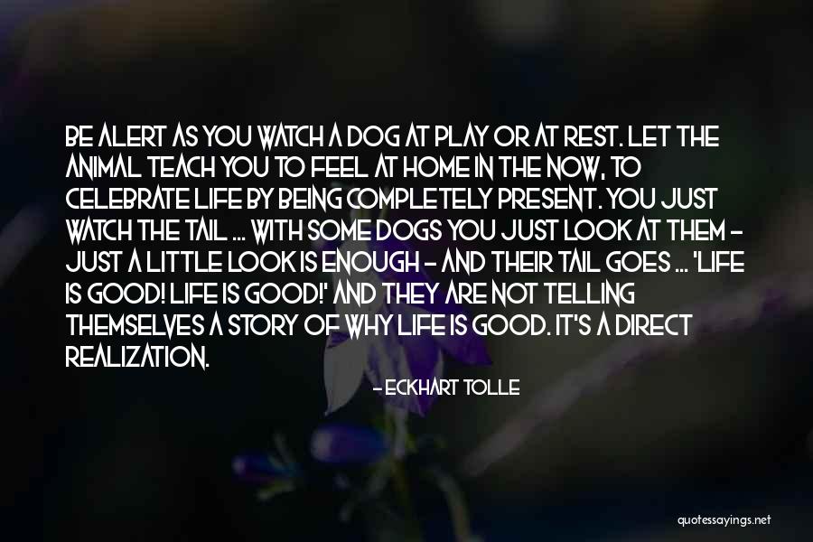 Feel Good Dog Quotes By Eckhart Tolle