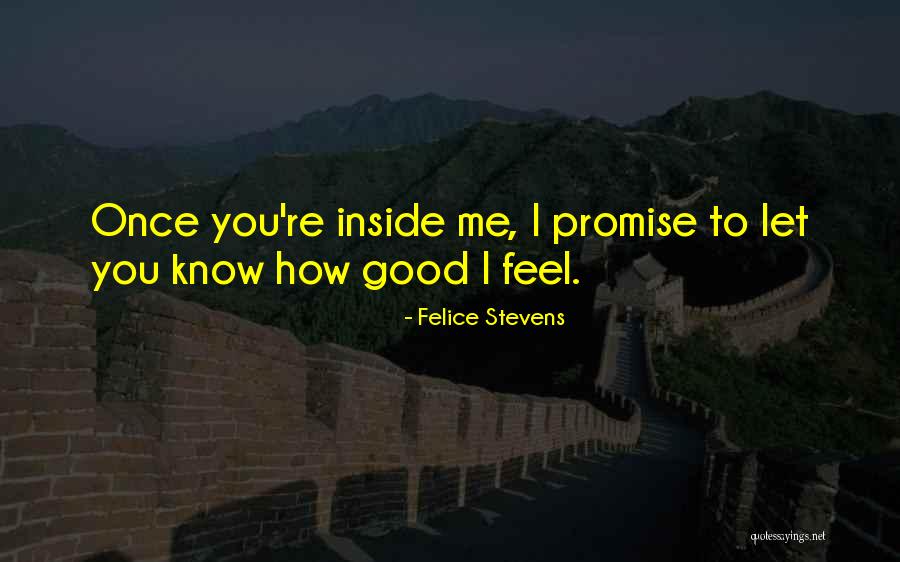 Feel Good From The Inside Out Quotes By Felice Stevens Feel Good From The Inside Out Quotes By Felice Stevens